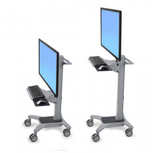 Ergotron Neo-Flex WideView Workspace - Grey