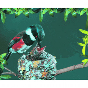 3D Ultrathin High-Precision Ergonomic Mouse Pads - Birds feeding a baby bird, 3D-MP32