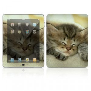 Decalskin Apple iPad Skin - Animal Sleeping Kitty, Made out of Vinyl, P/N: IPD-AM18.