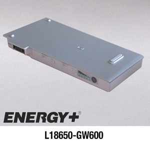 Replacement Intelligent 9 cell Lithium Ion Battery for Gateway Brand Solo 600