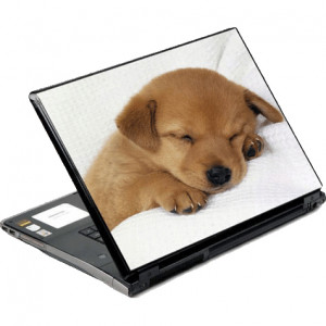 DecalSkin Sleeping Puppy Laptop Skin NAM20-14, for 14in/15in Notebooks.