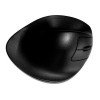 HandShoe Wireless Laser Mouse (Black)